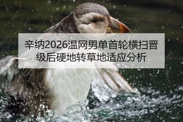 辛纳2026温网男单首轮横扫晋级后硬地转草地适应分析