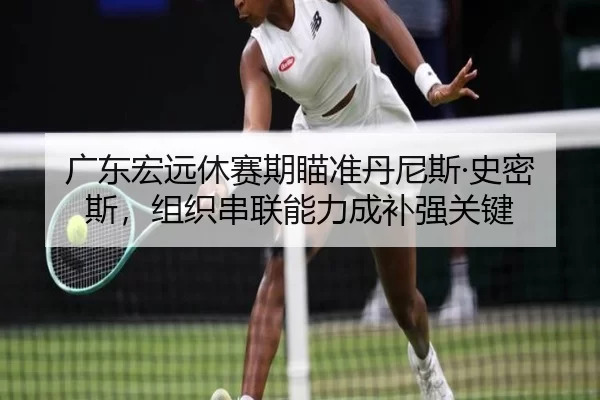 广东宏远休赛期瞄准丹尼斯·史密斯，组织串联能力成补强关键