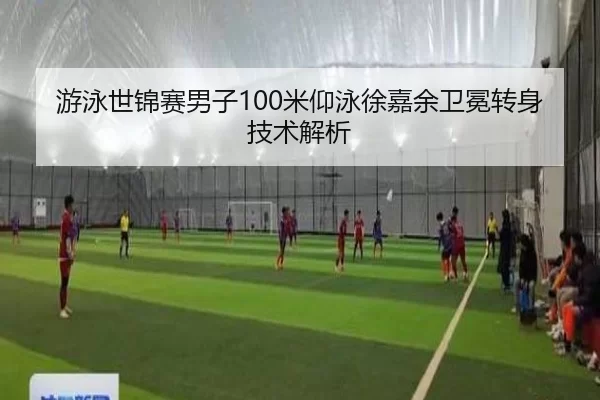 游泳世锦赛男子100米仰泳徐嘉余卫冕转身技术解析